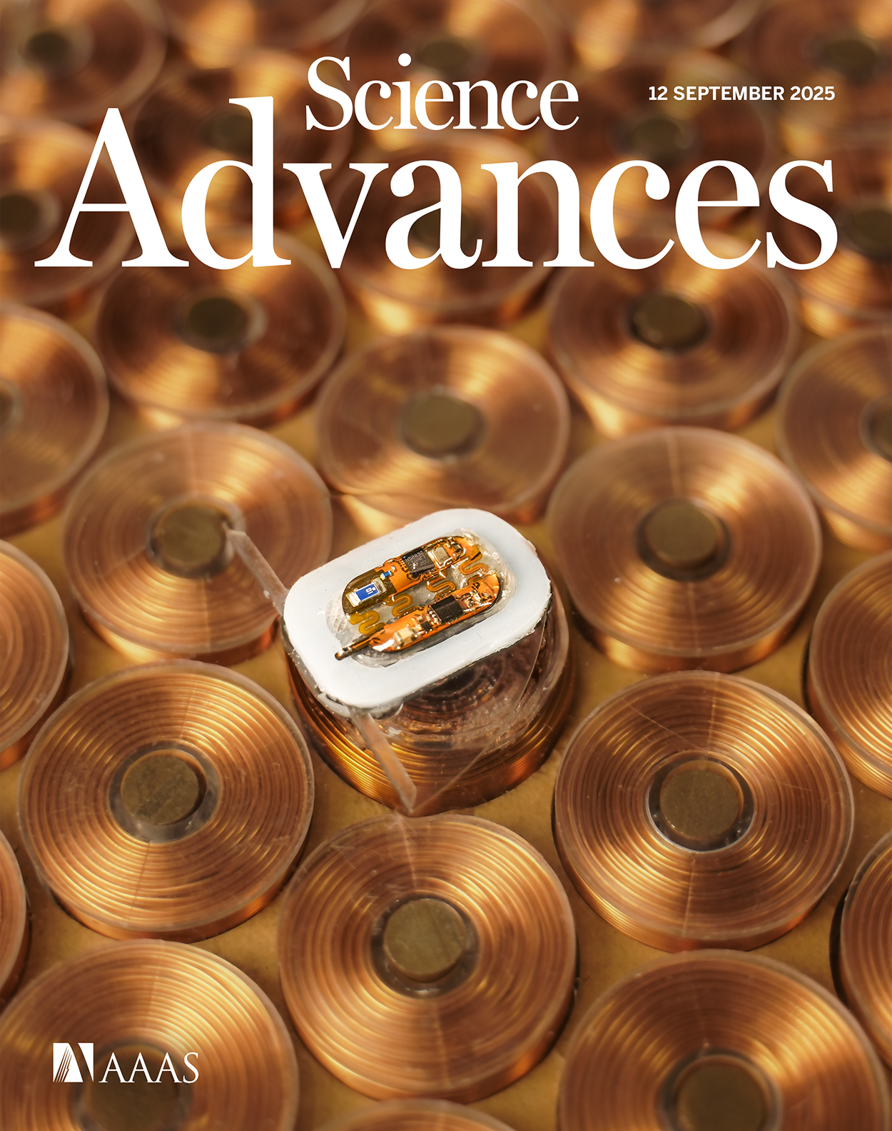 On-chip multi-timescale spatiotemporal optical synchronization